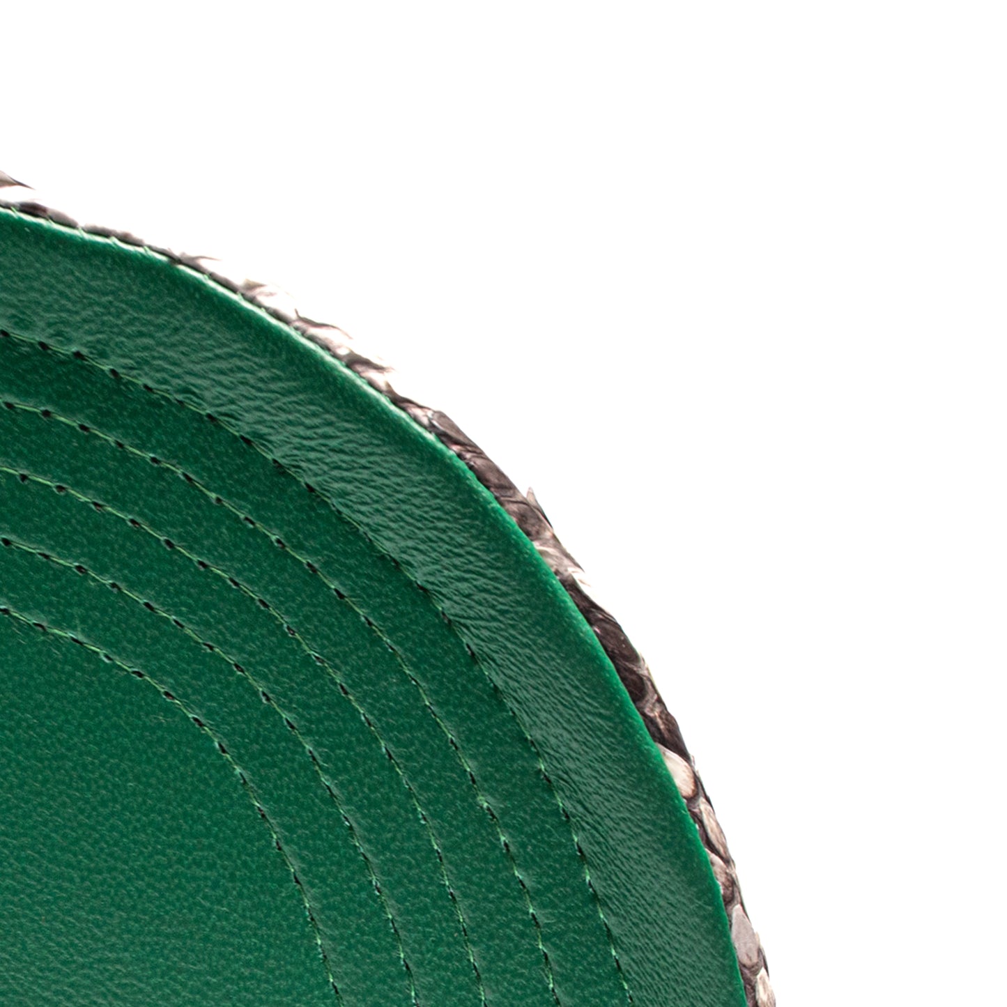 JUST DON BOSTON CELTICS PYTHON (GREEN-NATURAL-GREEN-SILVER)