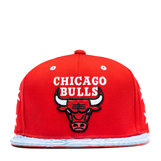 JUST DON CHICAGO BULLS