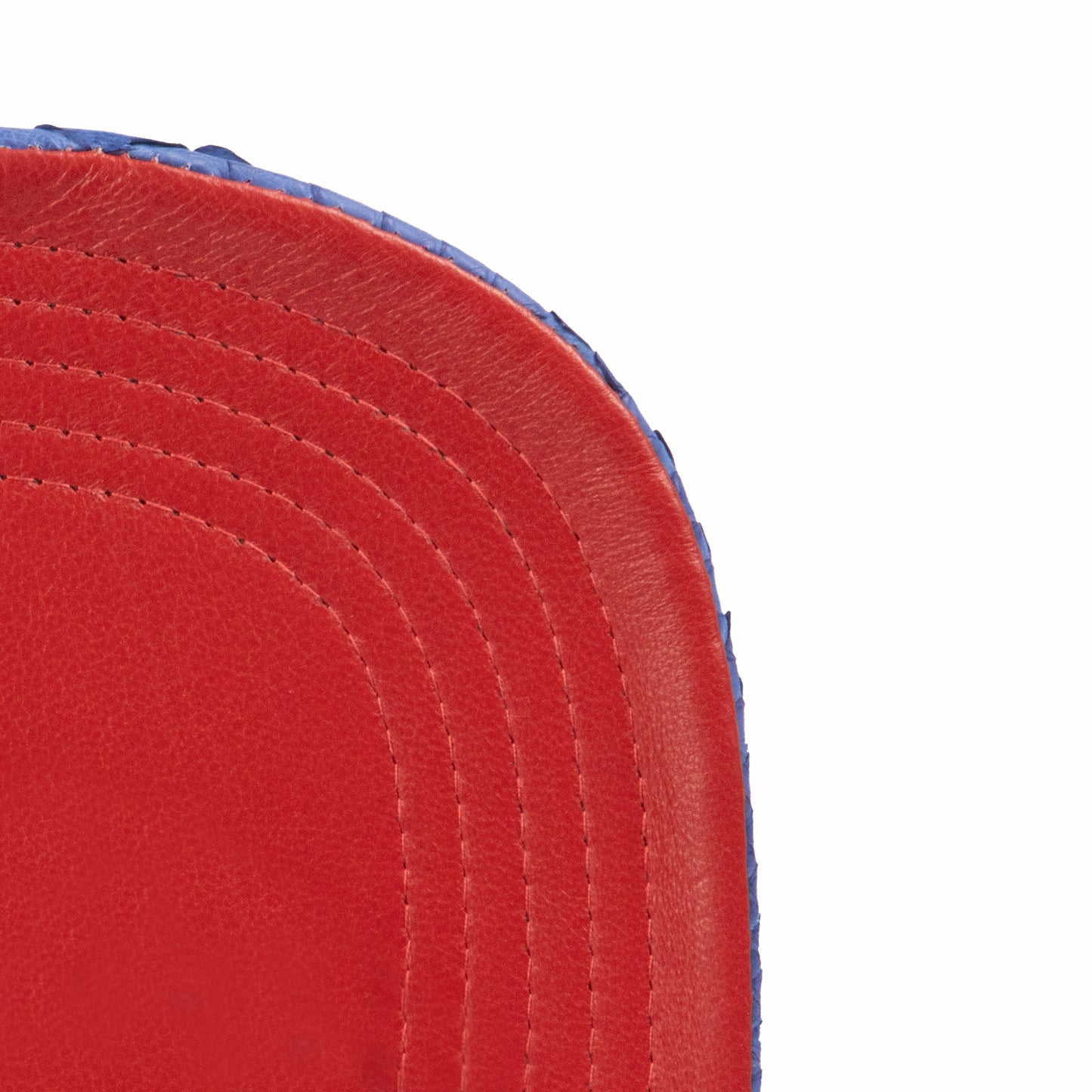 JUST DON JULIUS ERVING PYTHON 76ERS (Red-Royal-Red-Gold)