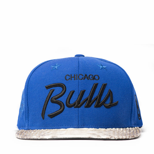 JUST DON CHICAGO BULLS PYTHON